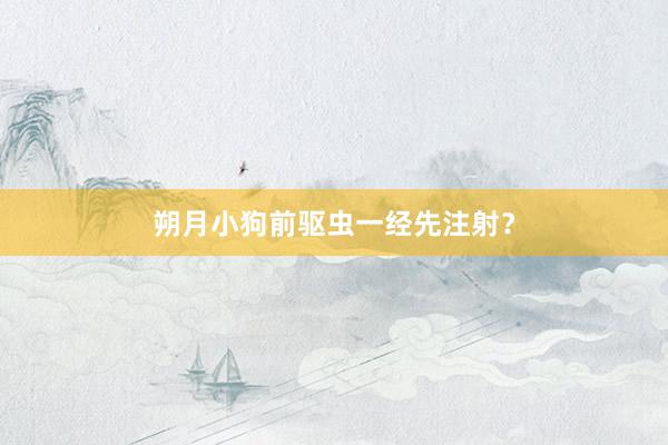朔月小狗前驱虫一经先注射？