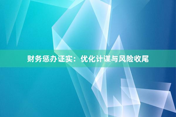 财务惩办证实：优化计谋与风险收尾