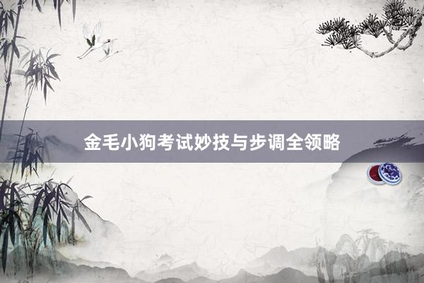 金毛小狗考试妙技与步调全领略