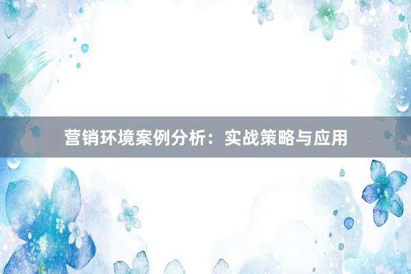 营销环境案例分析：实战策略与应用